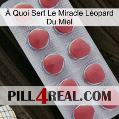 À Quoi Sert Le Miracle Léopard Du Miel 18